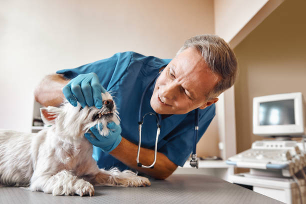 Best Same-Day Emergency Dental Services in Bainbridge, GA